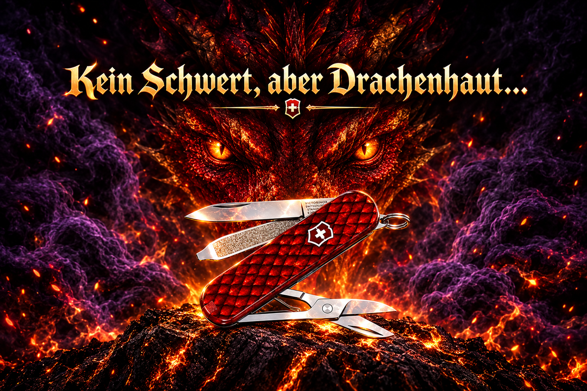 Überarbeitetes Drachenmotiv mit mehr Platz für die Überschrift