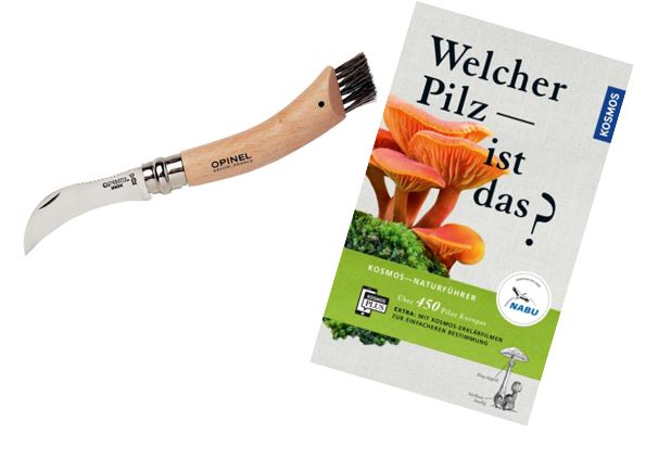 Pilzset für echte Sammler