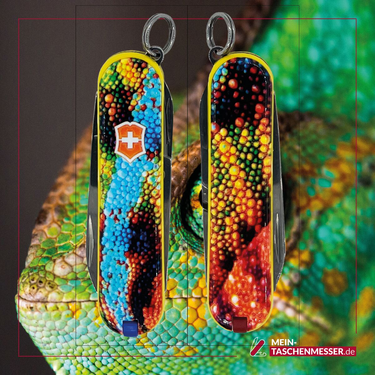 Victorinox Classic SD Animal-Line Chameleon by MTM
