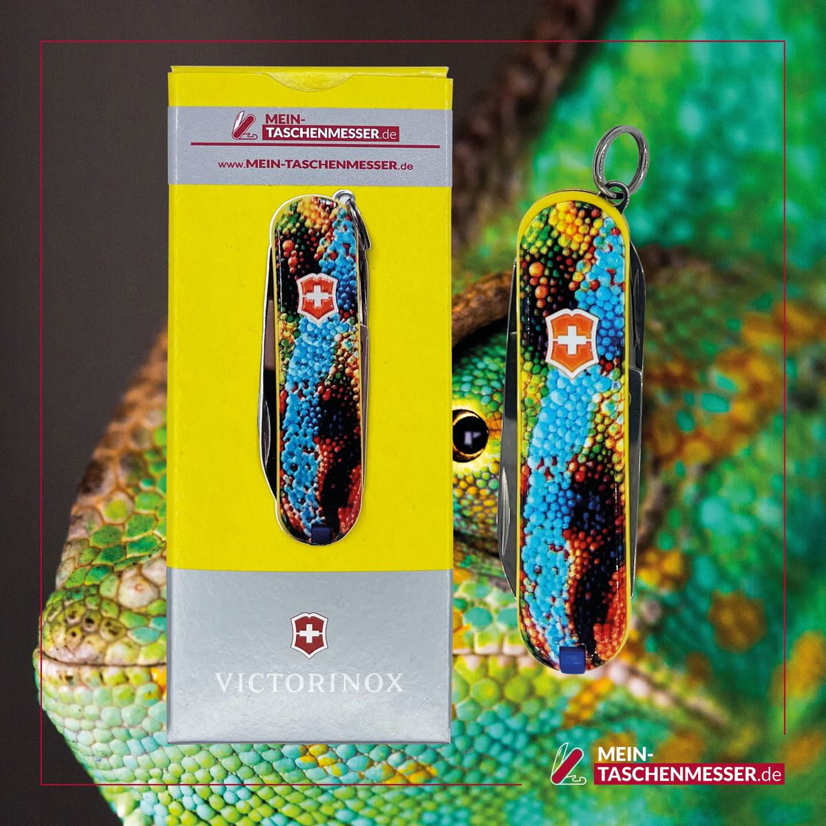 Victorinox Classic SD Animal-Line Chameleon by MTM