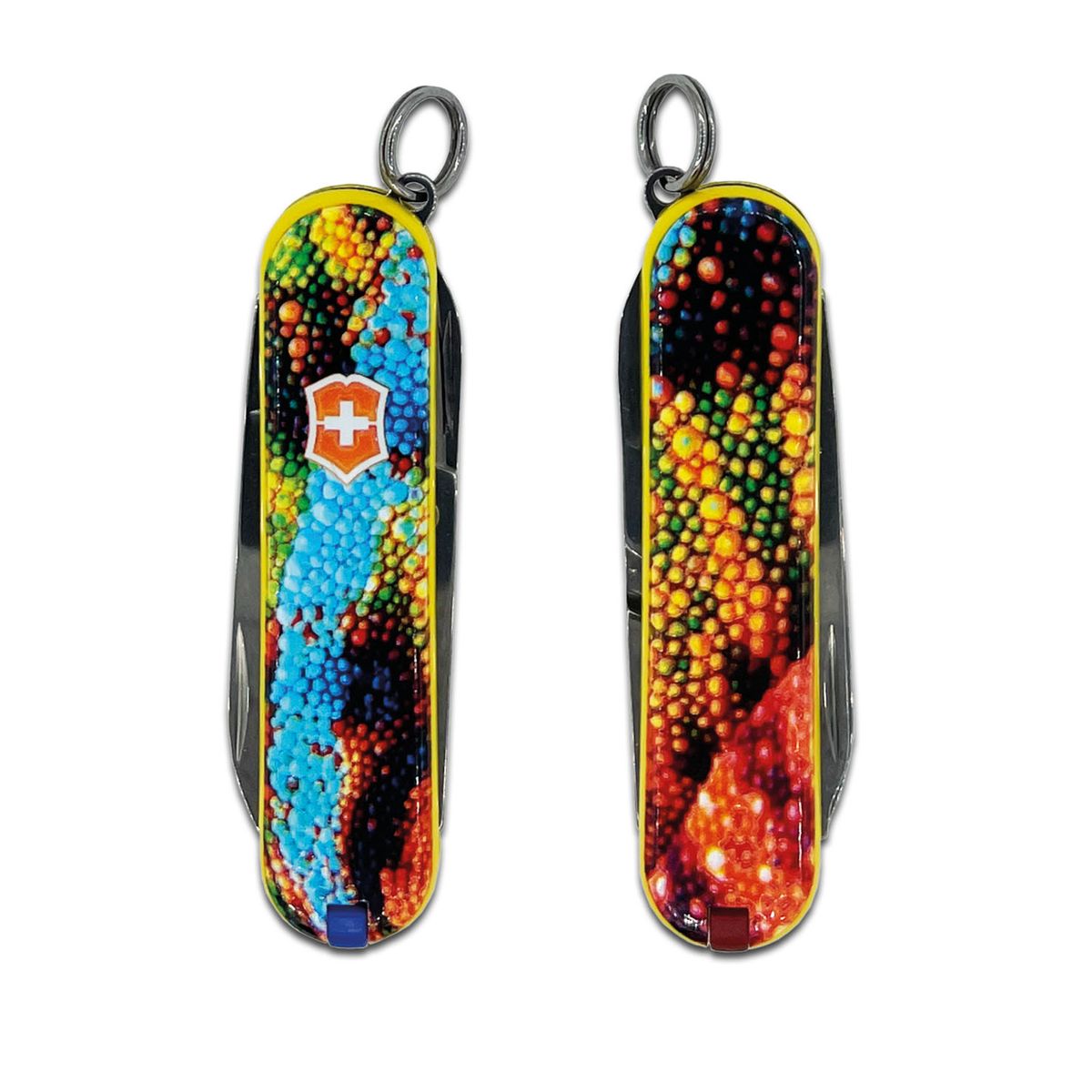 Victorinox Classic SD Animal-Line Chameleon by MTM