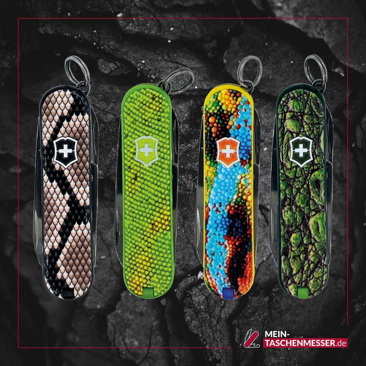 Victorinox Classic SD Animal-Line Chameleon by MTM